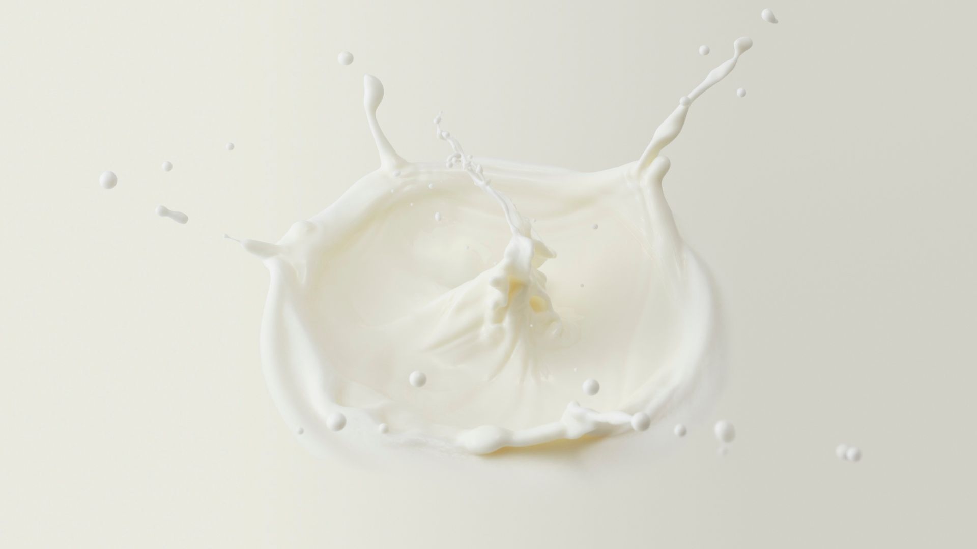 牛乳の写真